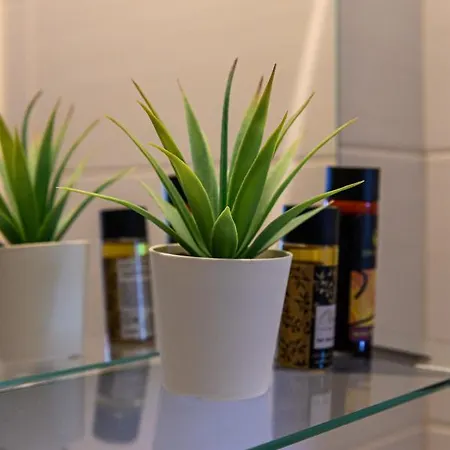 Daire Minimal In Nature, Exostis *