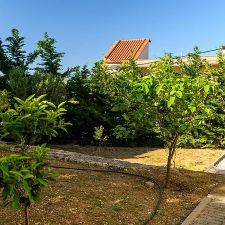 Minimal In Nature, Exostis *