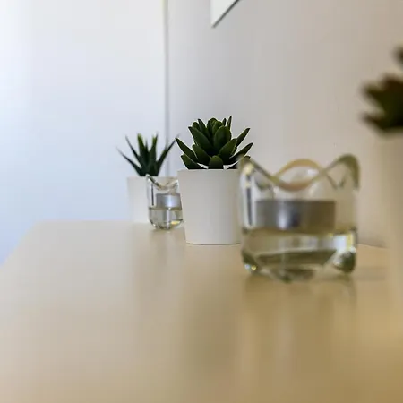 Lejlighed Minimal In Nature, Exostis