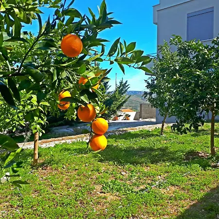 Minimal In Nature, Exostis *