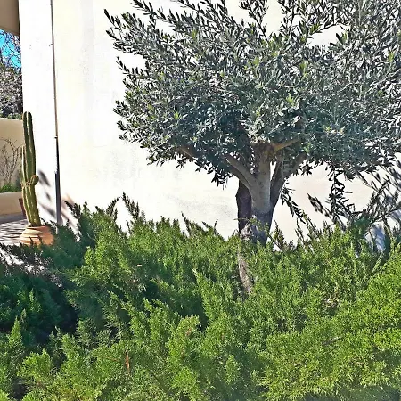 Minimal In Nature, Exostis * Anabolu