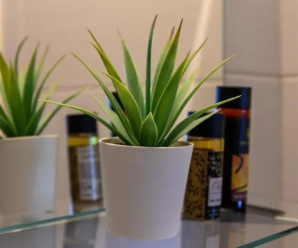 Apartment Minimal In Nature, Exostis *