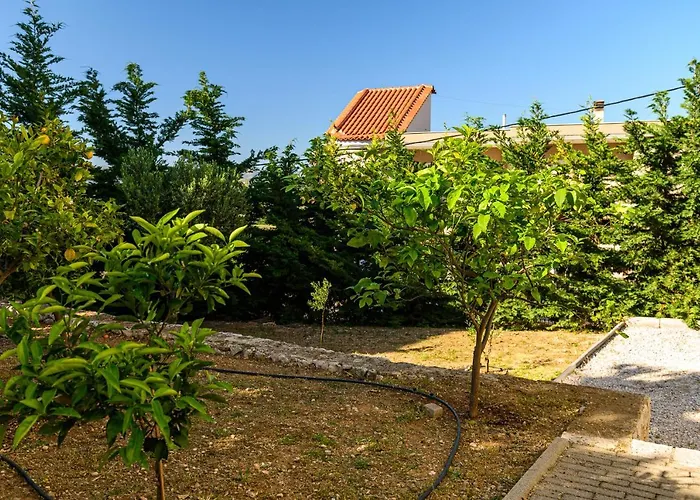 Minimal In Nature, Exostis *