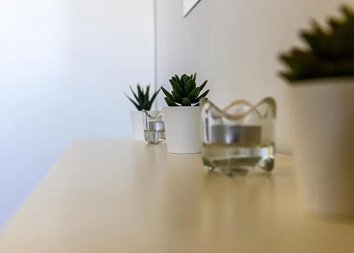 Apartment Minimal In Nature, Exostis