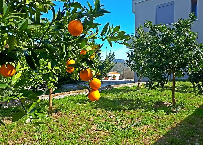 Minimal In Nature, Exostis *